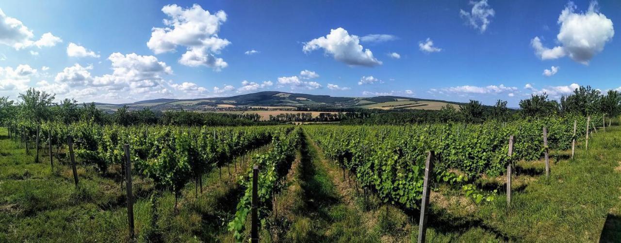 Penzion v rodinném vinařství Kadubcovi Lipov Extérieur photo